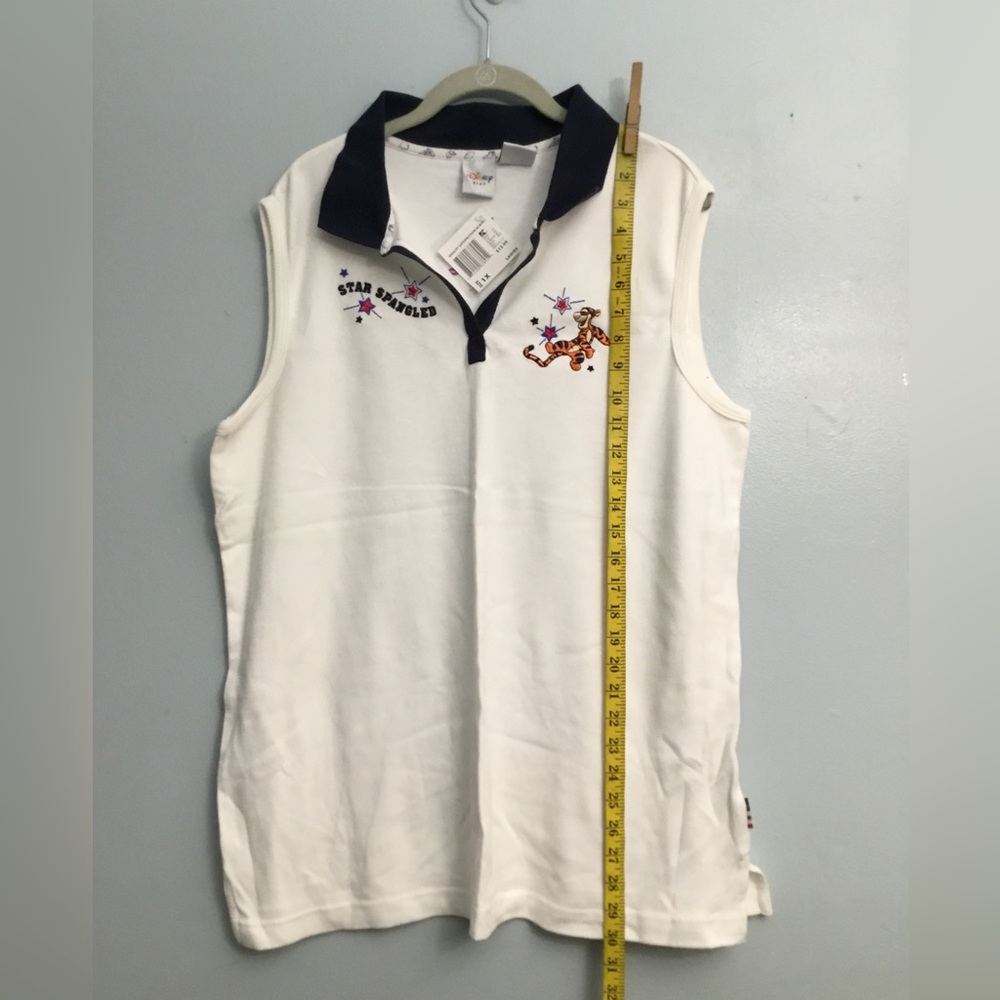 DISNEY PLUS top